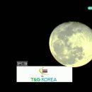 티업시티골프 이미지