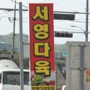 산적다육