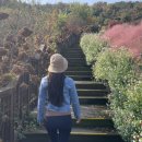 바다향기수목원(서측 주차장) 이미지