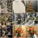 [서울 브라이덜샤워 파티룸 추천] 강남꽃집 쉐수아 감성 플라워 파티룸 후기 & 예약 꿀팁