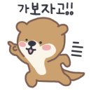 작전 합기도 이미지