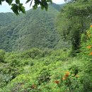 포항시북구19 이미지