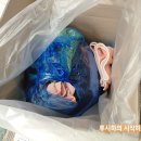 구립곡교어린이집 이미지