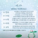 행복한반찬가게 희망도시락 | 청주 반찬 배달 후기ㅣ스물하나 가정식백반 도시락ㅣ정기 배달 월식 추천