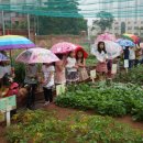 우정유치원 이미지