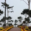 유림푸드 네이버블로그