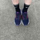 (주)하이템 | [러닝기어] 브룩스 러닝화 고스트 14