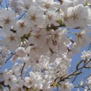 휘경초교 이미지