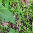 희망교회 | 하나님의교회 '희망의 숲 캠페인' 참여 후기^^