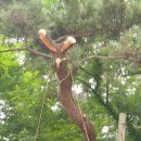 장생포경로당 이미지