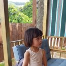 차차농장 이미지