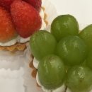 카페파이나무
