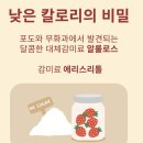 잼(JAM) 이미지