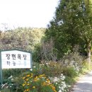 장현목장 이미지