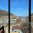 스텔(stell)