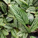 이광수농장 이미지