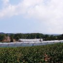거로 능동산 방묘 | 불법 도굴로 누구의 묘인지 주인을 밝힐 수 없는 안타까운 제주 하원동 탐라왕자 묘