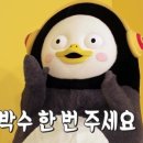 몬스터워시 이미지