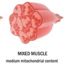 나의 운동일지PT 이미지