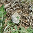 헌복농장 이미지