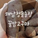 꿀밤농장 이미지