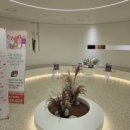 크린하우스 이미지