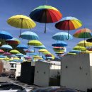 W지우리조트 이미지