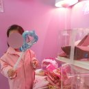 더우개로 네이버블로그