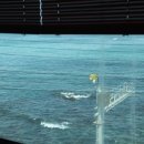 씨엘 펜션 이미지