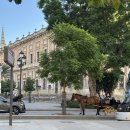 가로수약국 | [Day10-Day11] 스페인 세비야 자유여행 일정 공유/세비야 관광지/세비야 맛집 추천