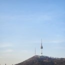 태림미트(주) - 17153 | 피자가 맛있는 녹사평 맛집 | 어퍼이스트