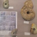 부여(홍산)-03 이미지