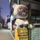 노라조 | [협찬후기] 계양구고양이카페 노라조야옹아