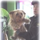 금쪽같은내새끼 동물병원 이미지