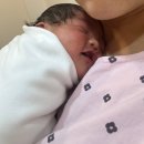 팀미음 | 초산모 제왕절개 + 시온여성병원 24시간 모자동실 후기(모유수유 전담팀 최고.)
