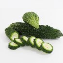 성산여주쌀밥 | 혈당관리엔 종근당건강 식후 한 포 여주환