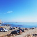 세븐일레븐 울산일산바다2점 이미지