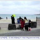 제주나그네 이미지