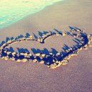 일상의 행복 이미지