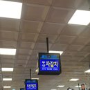 여정수산 | 노량진수산시장 횟집|봄도다리, 숭어회 96호 부산자갈치 내돈내산 솔직 후기