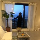 세화 엘라 이미지