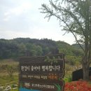 한천리농로 이미지