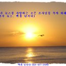 [백용]^^2009 년도 새해가 밝았습니다^^ 이미지