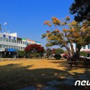 석곡면행정복지센터 이미지