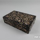 이원찬 필 호도 이미지