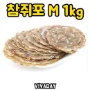 해담 이미지