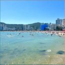 호텔홍단 | 해운대 여행추천 해운대 호텔 홍단 후기 공유해요