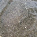 스테이매자미 이미지