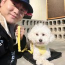 강아지 하네스 헤이테일 에어워크 가슴줄 리드줄 후기