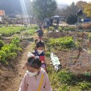(주)흙과숲